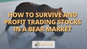 How to survive and profit trading stocks in a bear market