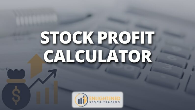 Stock profit calculator