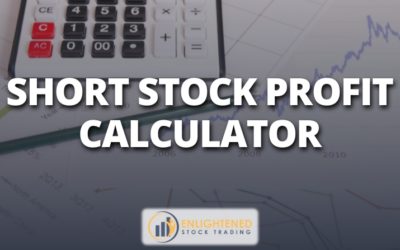 Short Stock Profit Calculator