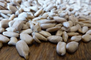 Are You Prepared For Unexpected Shocks To Your Trading — Sunflower Seeds